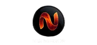 NetMirrors Logo